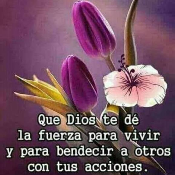 beatriz1203